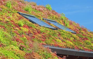Bennetts End living roof systems